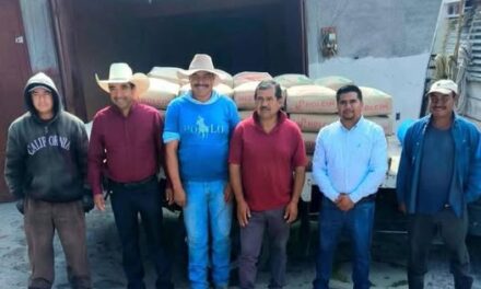 Continuan trabajos de mejoramiento de calles y vialidades en Tepeji del Río