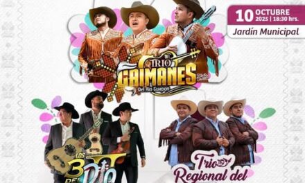 Invitan a la Gran Huapangueada en Tepeji de Río