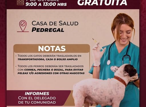 Habrá campaña de vacunación antirrábica en El Pedregal