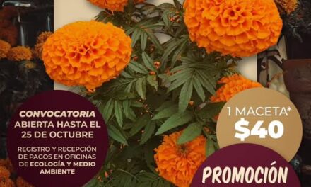 El Gobierno Municipal de Atotonilco de Tula continúa promoviendo el amor por nuestras raíces y el cuidado del entorno.