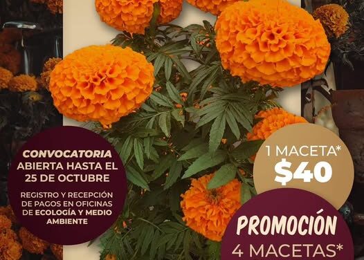 El Gobierno Municipal de Atotonilco de Tula continúa promoviendo el amor por nuestras raíces y el cuidado del entorno.