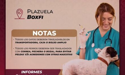 Mañana habrá 𝐜𝐚𝐦𝐩𝐚𝐧̃𝐚 𝐝𝐞 𝐯𝐚𝐜𝐮𝐧𝐚𝐜𝐢𝐨́𝐧 𝐚𝐧𝐭𝐢𝐫𝐫𝐚́𝐛𝐢𝐜𝐚 en la localidad de Boxfi