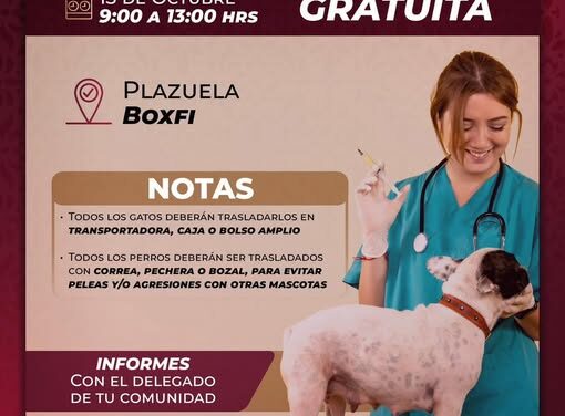 Mañana habrá 𝐜𝐚𝐦𝐩𝐚𝐧̃𝐚 𝐝𝐞 𝐯𝐚𝐜𝐮𝐧𝐚𝐜𝐢𝐨́𝐧 𝐚𝐧𝐭𝐢𝐫𝐫𝐚́𝐛𝐢𝐜𝐚 en la localidad de Boxfi