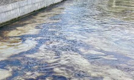 Vecinos de Tula de Allende reportan que hay un líquido vertido en el Río Tula, que desprende un fuerte olor.