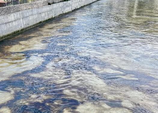Vecinos de Tula de Allende reportan que hay un líquido vertido en el Río Tula, que desprende un fuerte olor.