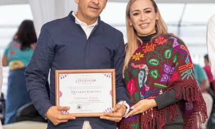 Tepeji del Río se viste de huapango: éxito total del 8° Nacional de Huapango Huasteco