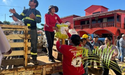 L𝗮 𝗮𝘆𝘂𝗱𝗮 𝗱𝗲 𝗔𝘁𝗼𝘁𝗼𝗻𝗶𝗹𝗰𝗼 𝗱𝗲 𝗧𝘂𝗹𝗮 𝘆𝗮 𝗲𝘀𝘁𝗮́ 𝗹𝗹𝗲𝗴𝗮𝗻𝗱𝗼 𝗮 𝗹𝗮 𝗦𝗶𝗲𝗿𝗿𝗮 𝗔𝗹𝘁𝗮 𝗱𝗲 𝗛𝗶𝗱𝗮𝗹𝗴𝗼