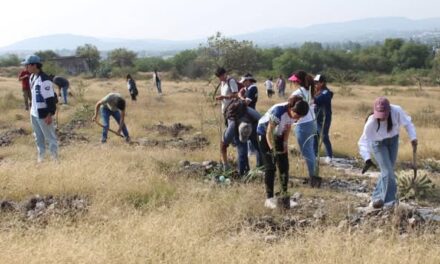 Continúan Jornadas de Reforestación en Atotonilco de Tula