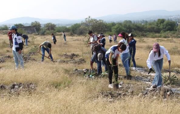 Continúan Jornadas de Reforestación en Atotonilco de Tula