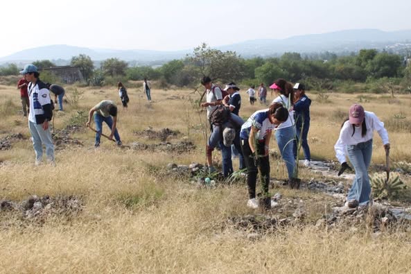 Continúan Jornadas de Reforestación en Atotonilco de Tula