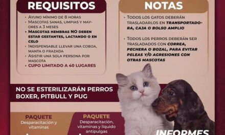 Habrá campaña de esterilización canina y felina en Atotonilco de Tula