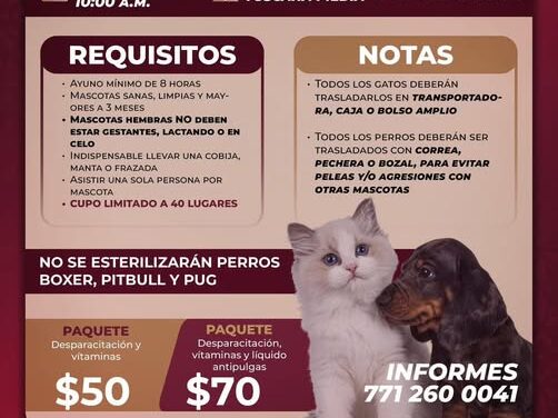 Habrá campaña de esterilización canina y felina en Atotonilco de Tula