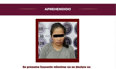 Aprehendida probable responsable de delitos contra la vida, integridad y dignidad de los animales; lesionó a un canino con un machete.