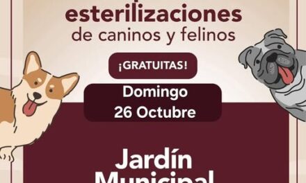 Mañana habrá Campaña gratuita de esterilización canina y felina en Tepeji del Río
