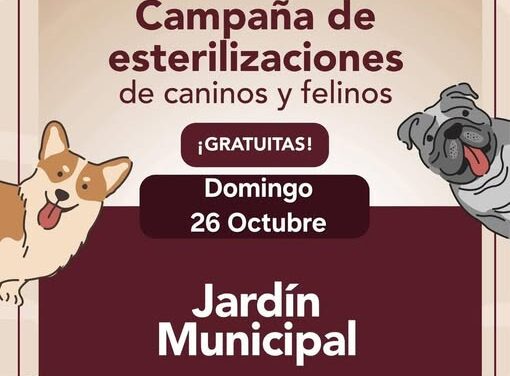 Mañana habrá Campaña gratuita de esterilización canina y felina en Tepeji del Río