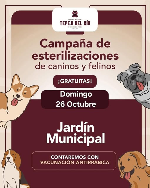 Mañana habrá Campaña gratuita de esterilización canina y felina en Tepeji del Río