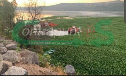 Reinician trabajos de trituración de lirio en la presa Endhó