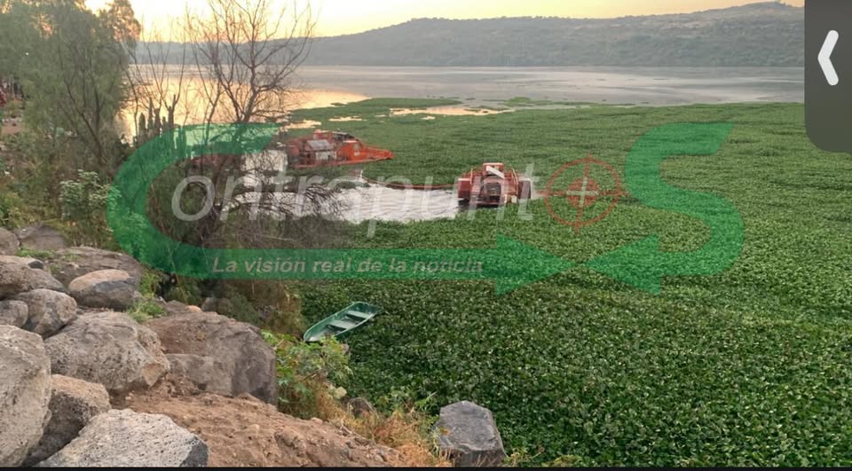 Reinician trabajos de trituración de lirio en la presa Endhó