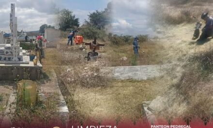 Continúan los trabajos de mantenimiento en los 𝗲𝘀𝗽𝗮𝗰𝗶𝗼𝘀 𝗽𝘂́𝗯𝗹𝗶𝗰𝗼𝘀 𝗱𝗲𝗹 𝗺𝘂𝗻𝗶𝗰𝗶𝗽𝗶𝗼 de Atotonilco de Tula