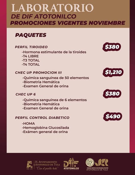 𝗔𝗽𝗿𝗼𝘃𝗲𝗰𝗵𝗮 𝗹𝗮𝘀 𝗽𝗿𝗼𝗺𝗼𝗰𝗶𝗼𝗻𝗲𝘀 𝗱𝗲𝗹 𝗟𝗮𝗯𝗼𝗿𝗮𝘁𝗼𝗿𝗶𝗼 𝗗𝗜𝗙 𝗔𝘁𝗼𝘁𝗼𝗻𝗶𝗹𝗰𝗼 𝗱𝗲 𝗡𝗼𝘃𝗶𝗲𝗺𝗯𝗿𝗲