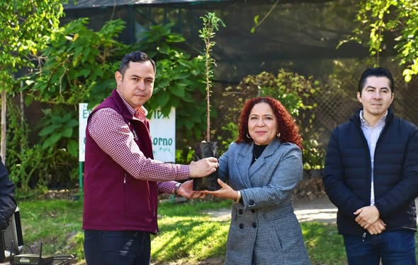 El gobierno municipal de Tula de Allende realizó entrega 100 especies de árbol de ahuehuete a la UAM Azcapotzalco