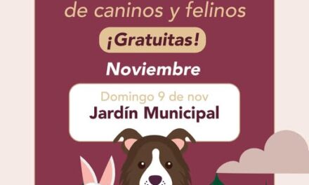 Habrá Campaña de esterilización canina y felina en el jardín municipal de Tepeji del Río