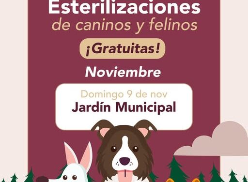 Habrá Campaña de esterilización canina y felina en el jardín municipal de Tepeji del Río