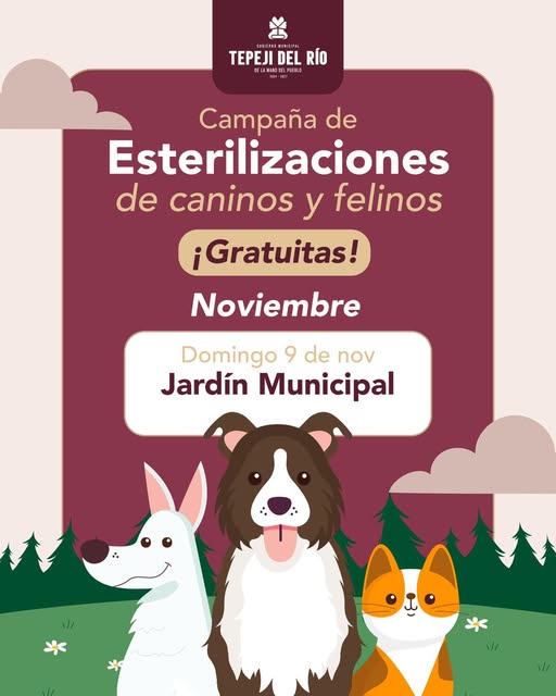 Habrá Campaña de esterilización canina y felina en el jardín municipal de Tepeji del Río