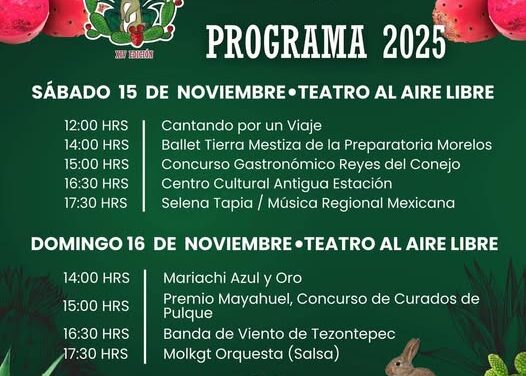 No te pierdas el Festival de los 4 Gigantes 2025 en Tula de Allende