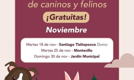 Calendario de Campañas de esterilización canina y felina para el mes de noviembre en Tepeji del Río