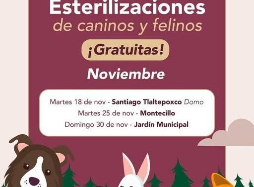 Calendario de Campañas de esterilización canina y felina para el mes de noviembre en Tepeji del Río