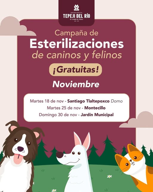Calendario de Campañas de esterilización canina y felina para el mes de noviembre en Tepeji del Río