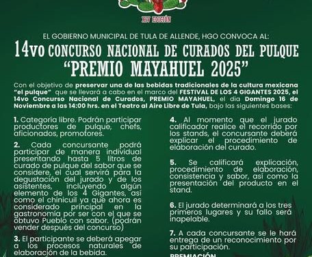 Invitan a participar en actividades realizadas en el marco del Festival de los 4 Gigantes en Tula