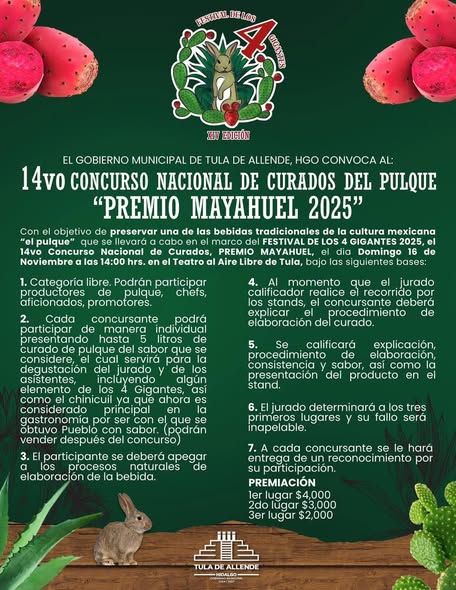 Invitan a participar en actividades realizadas en el marco del Festival de los 4 Gigantes en Tula