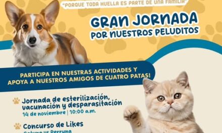 El Gobierno Municipal de Tula de Allende te invitan a participar en la «gran jornada por nuestros peluditos».