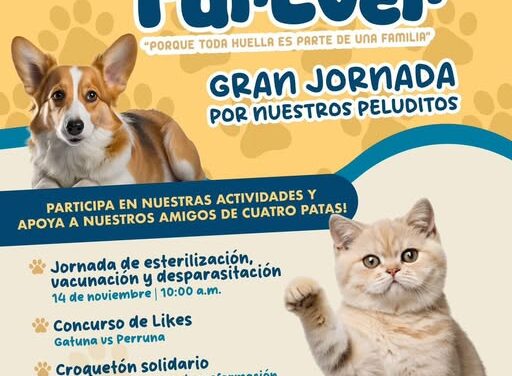 El Gobierno Municipal de Tula de Allende te invitan a participar en la «gran jornada por nuestros peluditos».