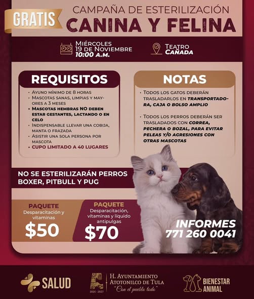 Habrá Campaña de esterilización canina y felina gratuita en Cañada de Atotonilco de Tula