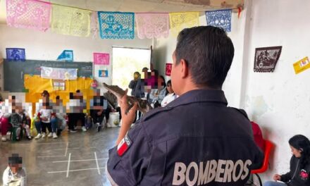 Continúa programa “Pequeños Guardianes Ambientales” en Tepeji