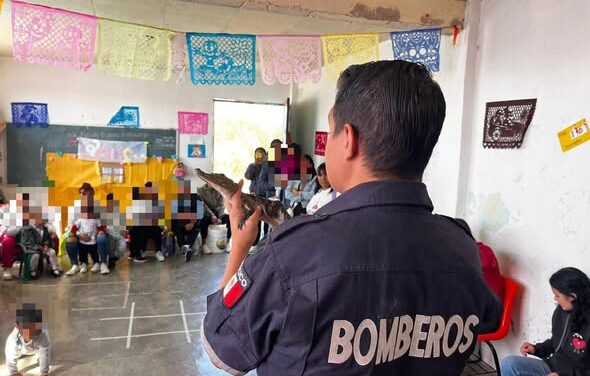 Continúa programa “Pequeños Guardianes Ambientales” en Tepeji