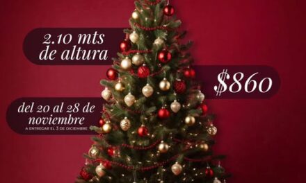 Ya puedes adquirir tu árbol navideño en Atotonilco de Tula