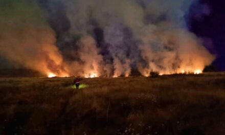 Bomberos Tula atienden reporte de incendio en El Llano