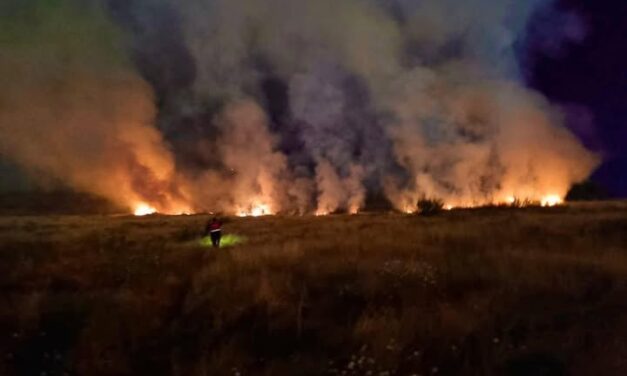 Bomberos Tula atienden reporte de incendio en El Llano