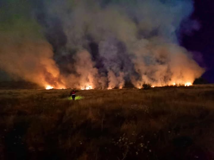 Bomberos Tula atienden reporte de incendio en El Llano