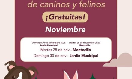 Campañas GRATUITAS de esterilización canina y felina en Tepeji