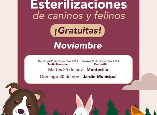 Campañas GRATUITAS de esterilización canina y felina en Tepeji