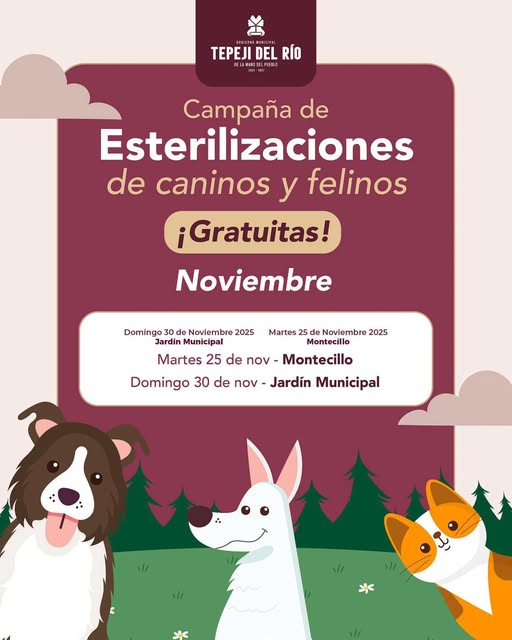 Campañas GRATUITAS de esterilización canina y felina en Tepeji