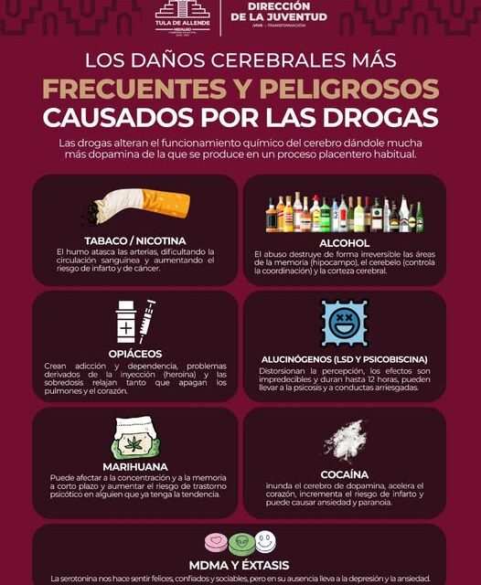 Tu mente en tu mejor plan … ¡cuídala!