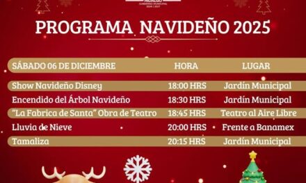 Vive una tarde llena de luz, música y espíritu navideño en Tula de Allende