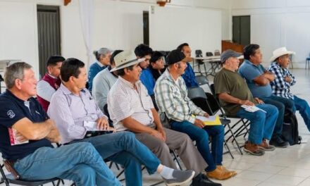 Con apoyo de las y los delegados, gobierno municipal de Tepeji busca reducir riesgos y prevenor emergencias