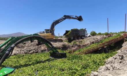 Sancionan a 16 empresas ubicadas en la zona alta del río Tula